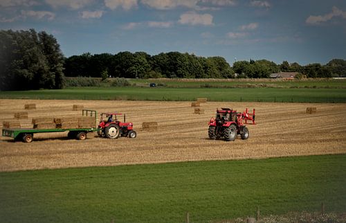 Hay harvesting