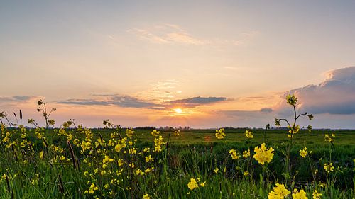 Zonsondergang in de Polder
