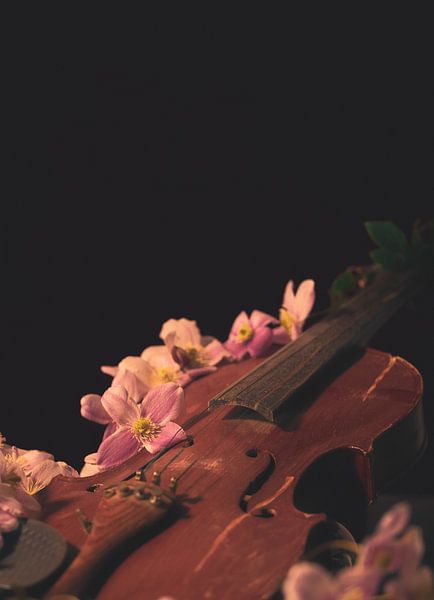 Die Band, Violine von met Jessica / Fotostudio Drachten
