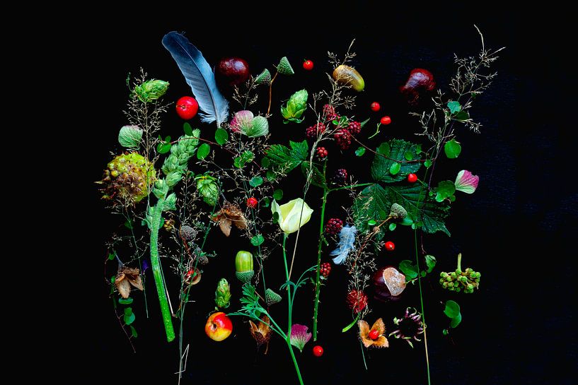 Blumenporträt (Mischmasch) von Ineke VJ