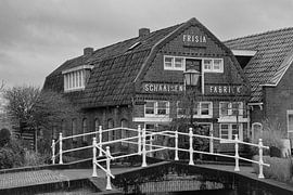 Frisia Skating, IJlst