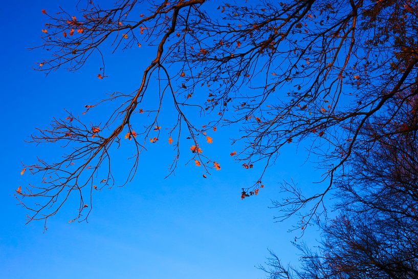 L'heure d'automne par Thomas Jäger