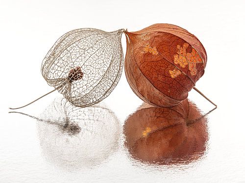 Samen tot we vergaan: Twee lampionnetjes samen