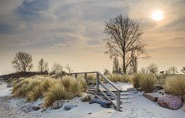 Ostseeromantik von Werner Reins