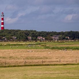 The Lighthouse by Nicole Nagtegaal