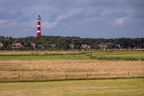 Le phare sur Nicole Nagtegaal