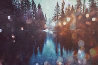 Magical Forest Fluss Spiegelung, Nature Magick  von PI Creative Art Miniaturansicht