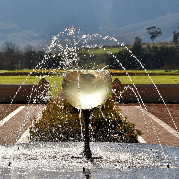 Fontaine avec un verre de vin par Werner Lehmann