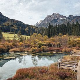 Naturschutzgebiet Zelenci - Kranjska Gora, Slowenien von Daan Duvillier | Dsquared Photography