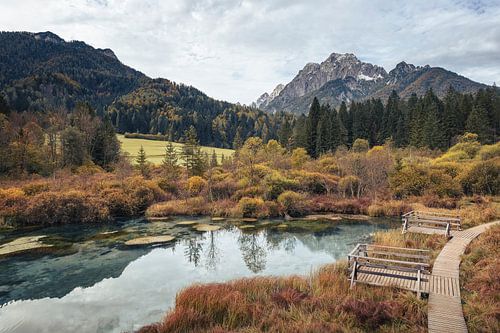 Réserve naturelle de Zelenci - Kranjska Gora, Slovénie