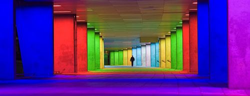 Das neue Institut, Rotterdam