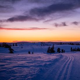 Sonnenaufgang in Norwegen von Annika Koole