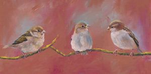 Trois moineaux sur une branche