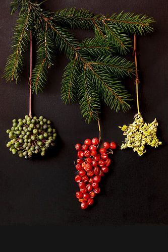 Schöne Feiertage von Marlieke van der Willik