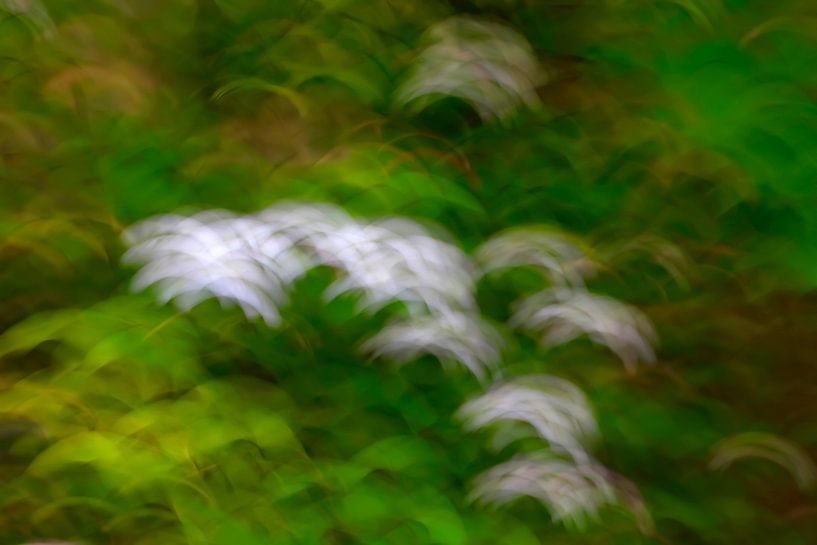 Printemps par Thomas Jäger