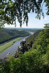 Bäume umrahmen den Ausblick auf die Elbe