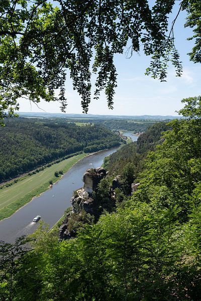 Trees frame the view of the Elbe river by Adriana Müller