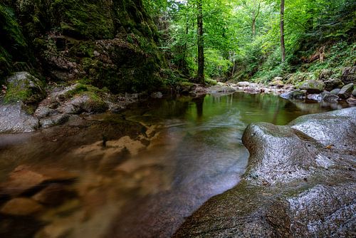 Au milieu de la Forêt-Noire sur Hannes Cmarits