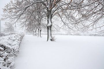 Perspectief in de sneeuw van Heike Hultsch