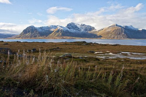 View from Vestvågøy van Jaco Verpoorte