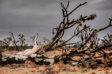 na de brand van grossberger.photo