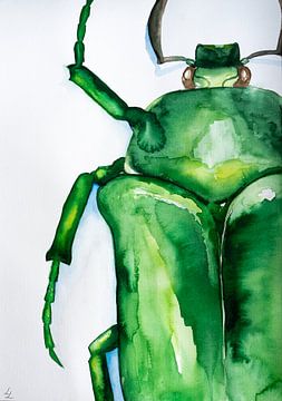 Watercolor Beetle by Lianne Landsman