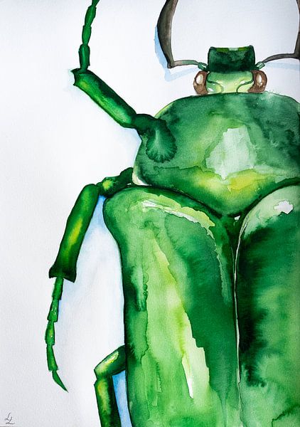 Watercolor Beetle by Lianne Landsman