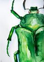 Watercolor Beetle by Lianne Landsman thumbnail