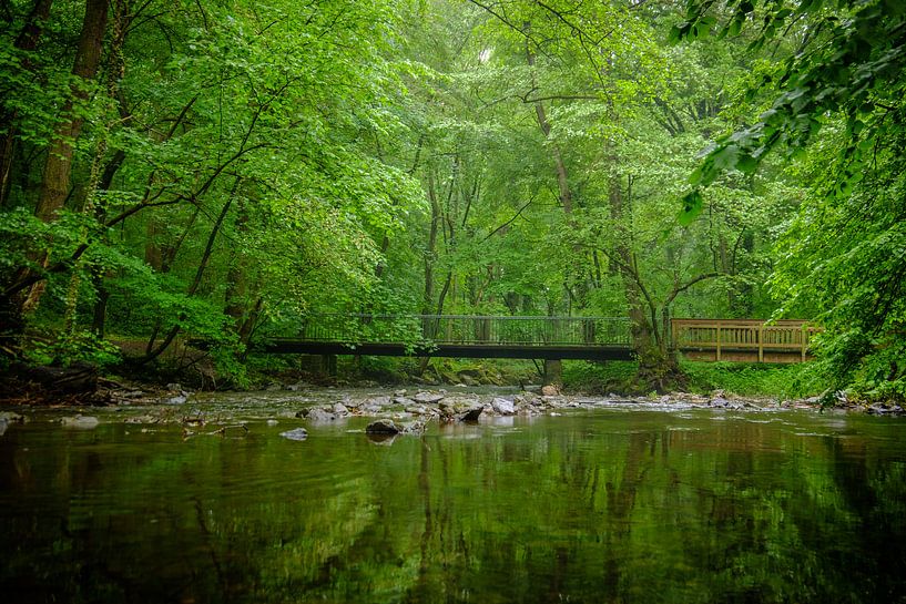 Brücke über ruhigem Gewässer von Emel Malms