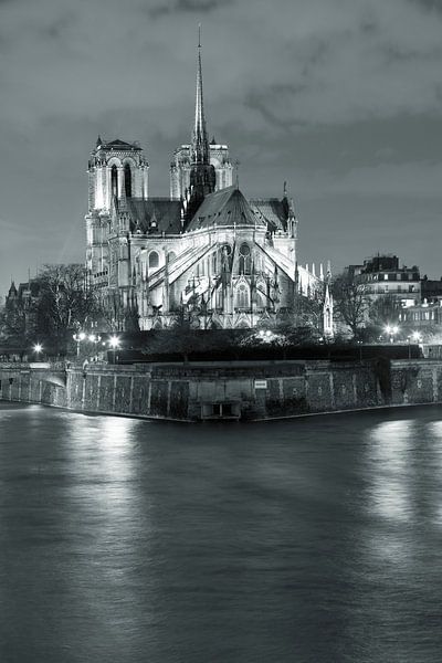 Kathedrale Notre Dame bei Nacht, Paris par Markus Lange