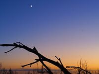 Zonsondergang aan de Oostvaardersplassen