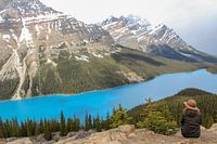 Peyto Lake in Canada