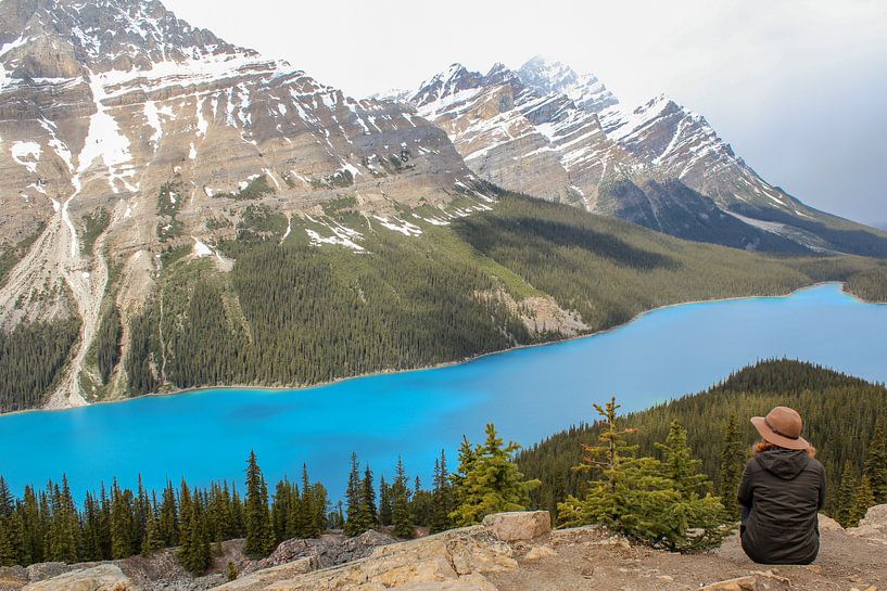 Peyto Lake in Canada by Map of Joy