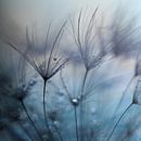 Teardrops van Mathieu Irthum thumbnail