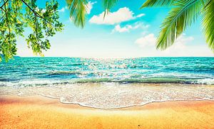 Meer Sand Sonne