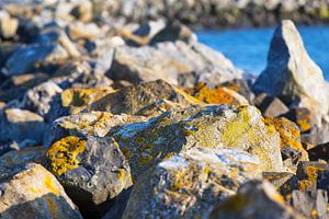 Basalt blocks illuminated by the evening sun