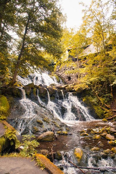 Kleine waterval in het bos met mos op stenen van Martin Köbsch