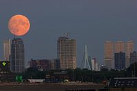 Full moon City of Rotterdam