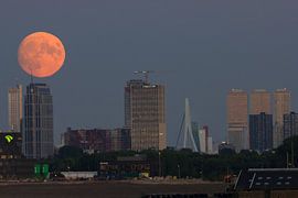 Full moon City of Rotterdam by Brandon Bouwman
