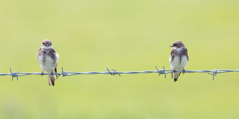 Relax! van Kris Hermans