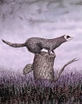 Ode to the polecat by Marieke Nelissen