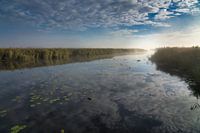 Federsee - Zonsopgang