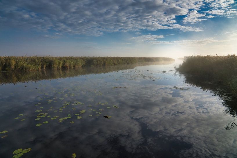 Federsee - Sunrise by Eric Götze Fotografie