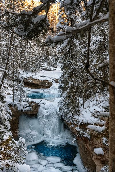 Johnston Canyon, AB par Luc Buthker