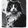 Zwart-wit portret van een kat, Zwart-wit portret van een kat van Christina Bauer Photos