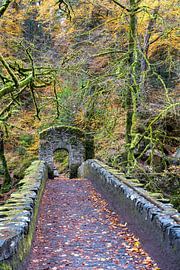 Alte verwitterte Brücke im herbstlichen Schottland