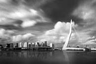 Rotterdam Erasmus by Martijn Kort thumbnail