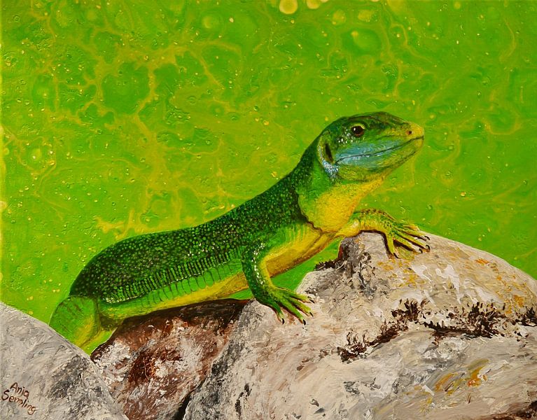 Lézard vert dans le Kaiserstuhl par Anja Semling