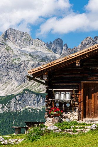 Berglandschap "Knusse Almhut op een Bergwei II"