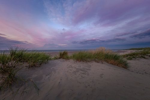 Texeler Dünen am frühen Morgen